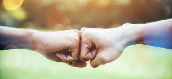 savonnerie artisanale : ensemble