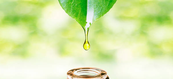 savonnerie artisanale : cosmétique naturel